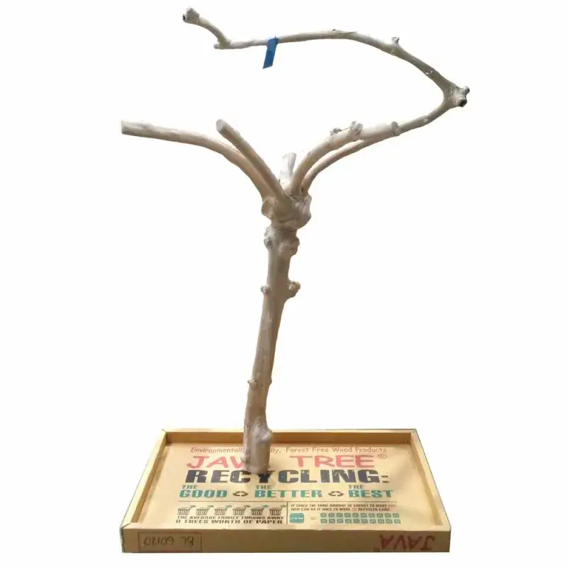 Arbre en Bois de Java – Taille Large – BL 60120 Satisfait Ou Remboursé