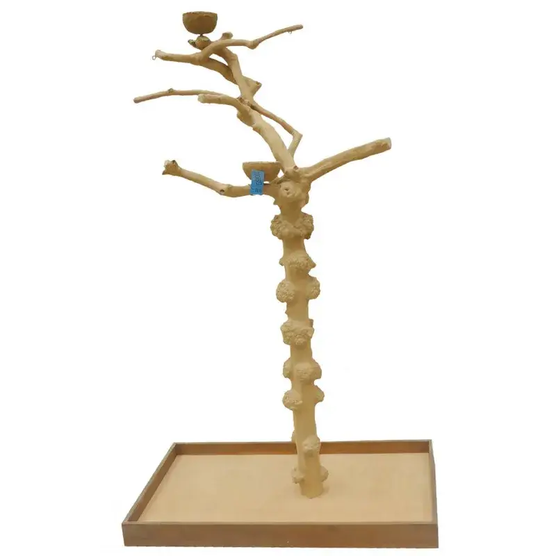 Expédié Aujourd&rsquo;hui Arbre en Bois de Java – Taille Medium – BM 5902