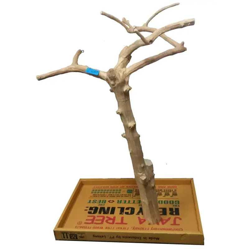 Arbre en Bois de Java – Taille Large – BL 60813 Acheter Direct