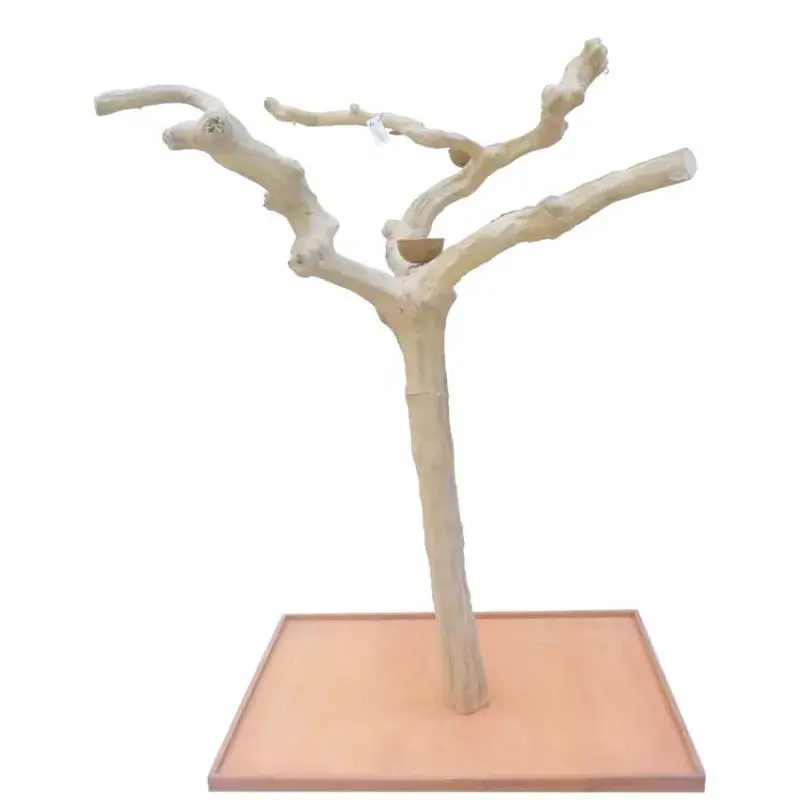 Arbre en Bois Java – Taille Extra Large – AL 30704 Achat Immédiat
