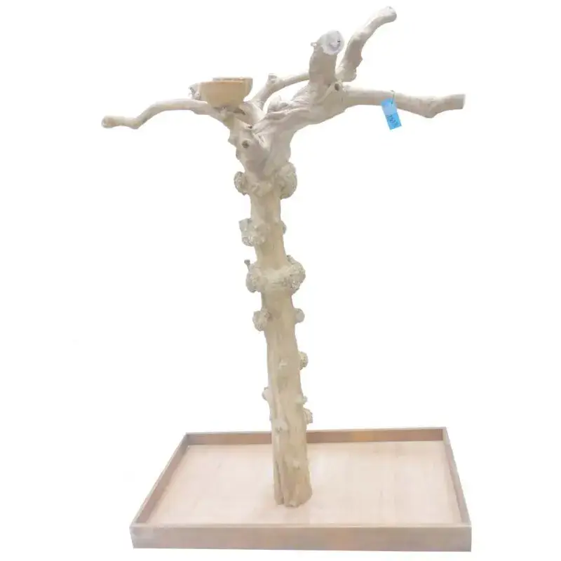 Prix Réduit Arbre en Bois de Java – Taille Large – BL 62618