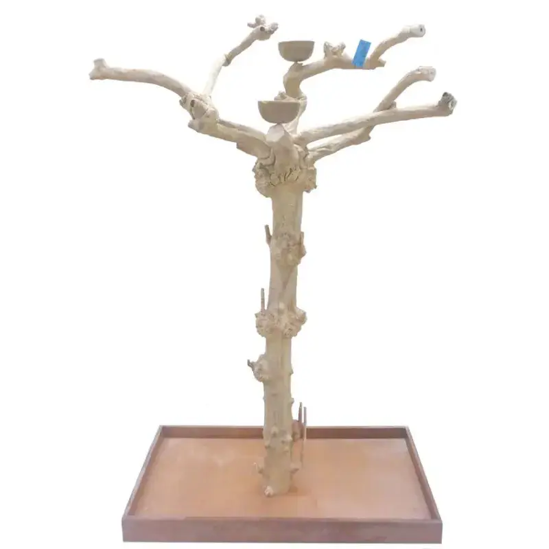 Soldes Arbre en Bois de Java – Taille Large – BL 62625
