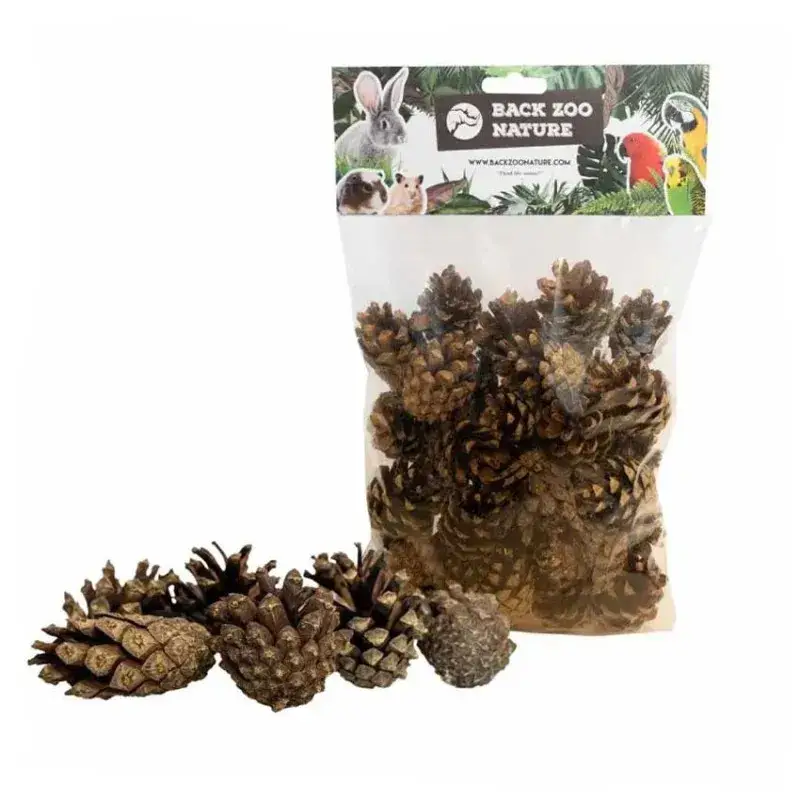 Petites Pommes de Pin Naturelles – 300gr Prix Choc