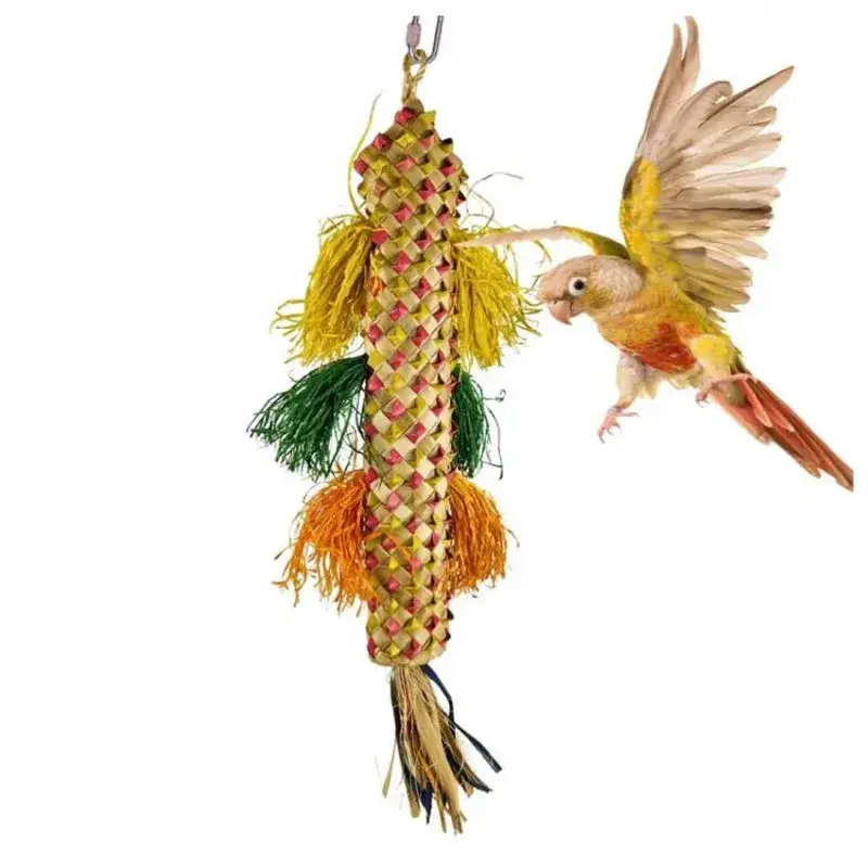 Carpiñata – Jouet Perruche Promotion Saisonnière