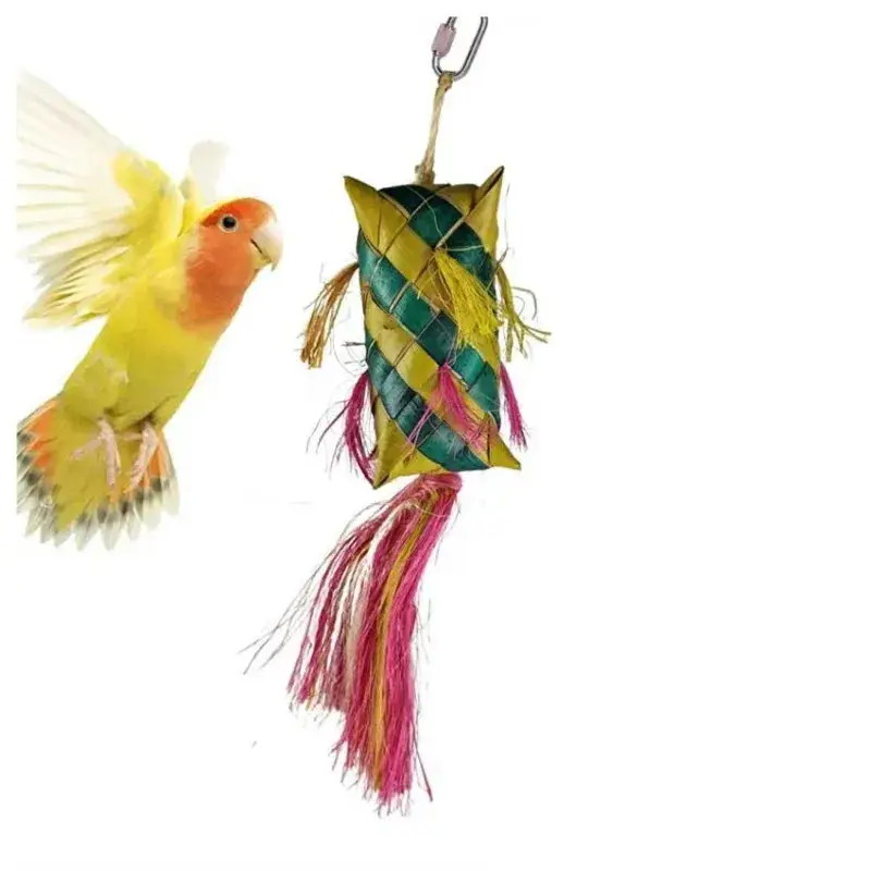 Certifié Carñaval Pinata – Jouet Perruche