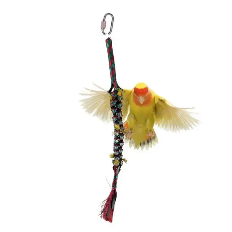Achetez Aujourd&rsquo;hui Petite Chenille – Jouet Perruche