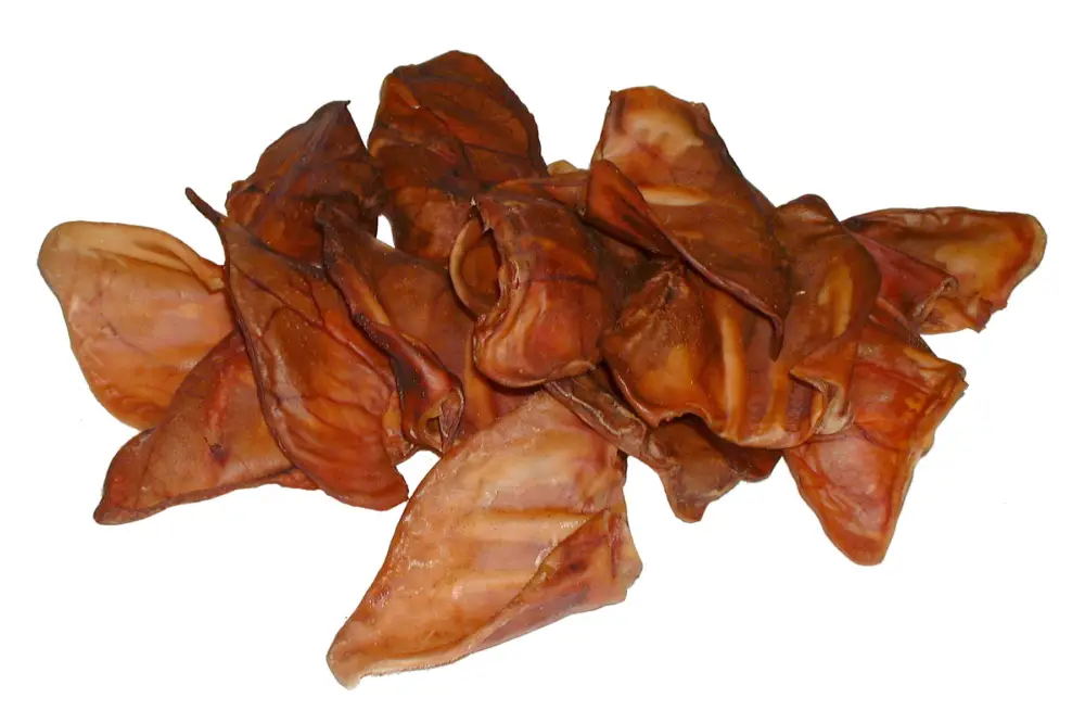 Paradisio – Oreilles de Porc pour Chien Vente Directe