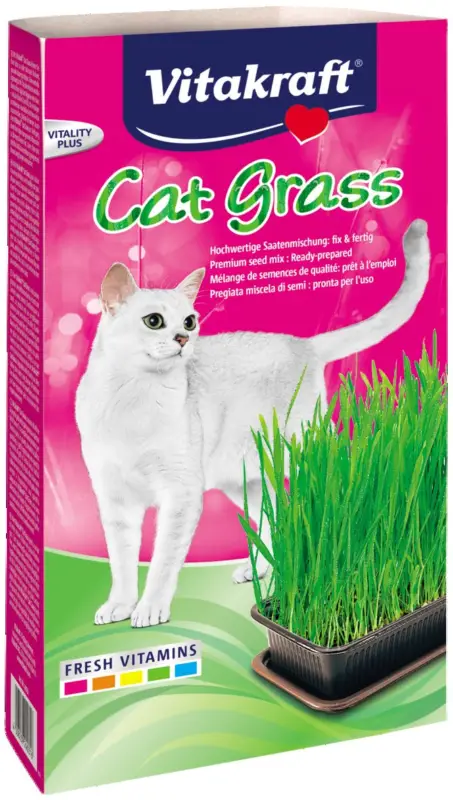 Vitakraft – Herbe &agrave; Chat Cat-Gras pour Chats – 120g Prix Cassé