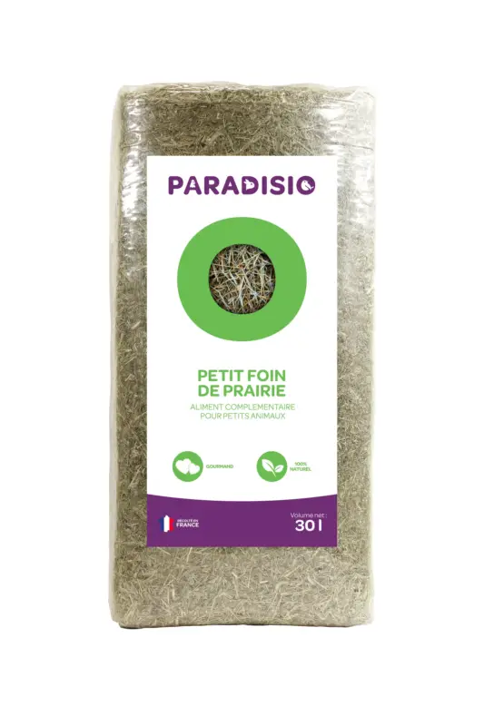 Paradisio – Petit Foin de Prairie pour Rongeur Populaire