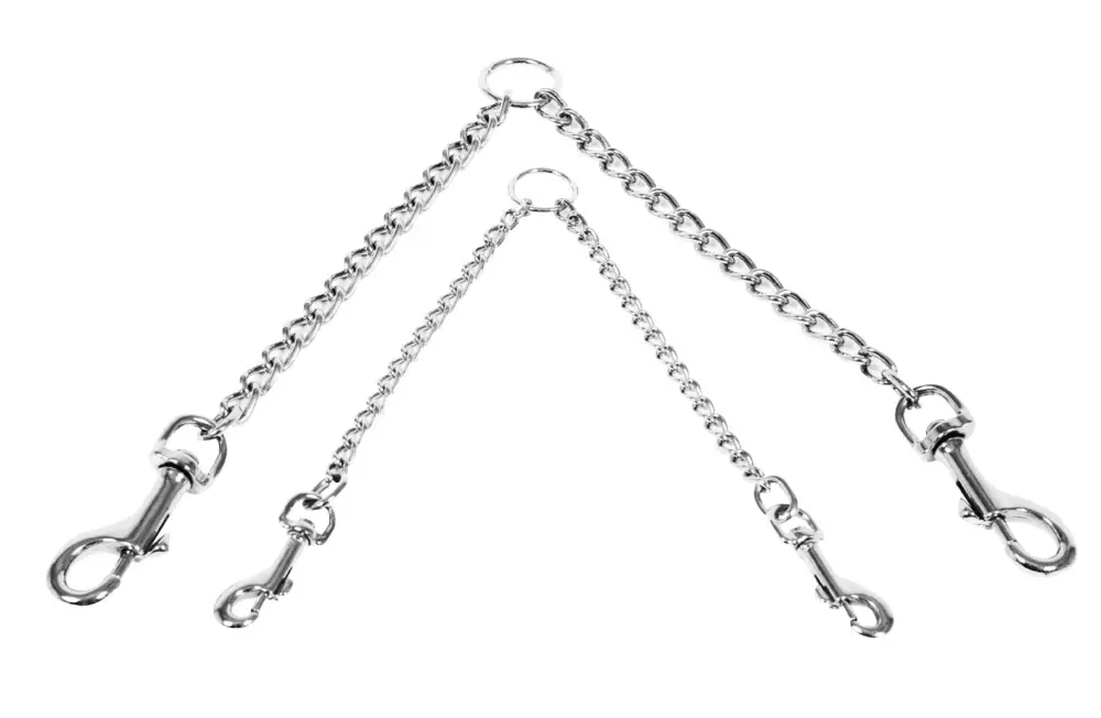 Acheter En Ligne Martin Sellier – Accouple Cha&icirc;ne pour Chiens – 26cm