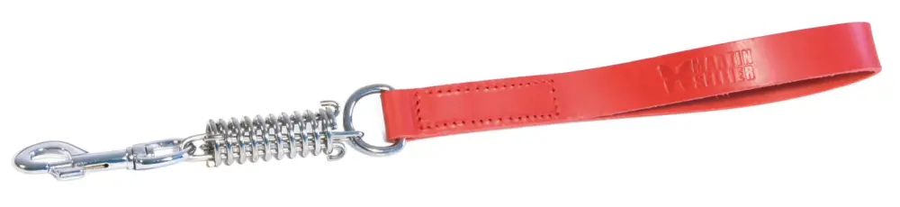 Affaire À Saisir Martin Sellier – Laisse Amortisseur en Cuir et Bord Arrondi pour Chien – Rouge