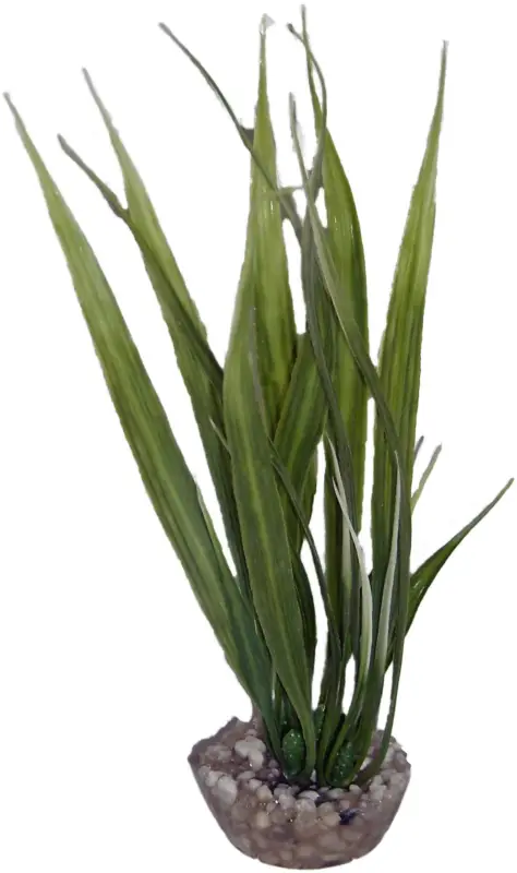 Acheter En Ligne Labeo – Herbe petit mod&egrave;le color&eacute;e – Plante Artificielle Aquarium