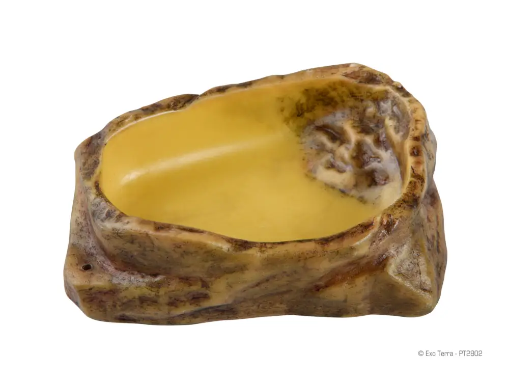 Offre Limitée Exo Terra – Bol pour Reptile – M