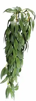 Exo Terra – Feuillage D&eacute;coratif Ruscus Plante pour Terrarium – 41cm Petit Prix