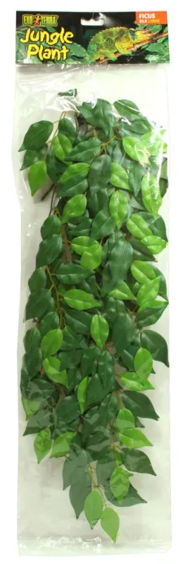 Pas Cher Exo Terra – Plante Ficus pour Terrarium – L