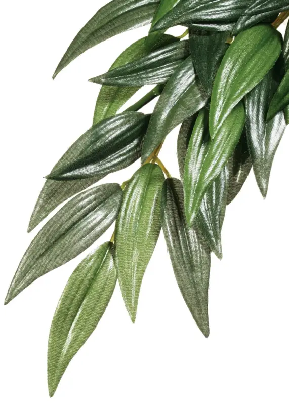 Affaire À Saisir Exo Terra – Feuillage D&eacute;coratif Ruscus Plante pour Terrarium – 60cm