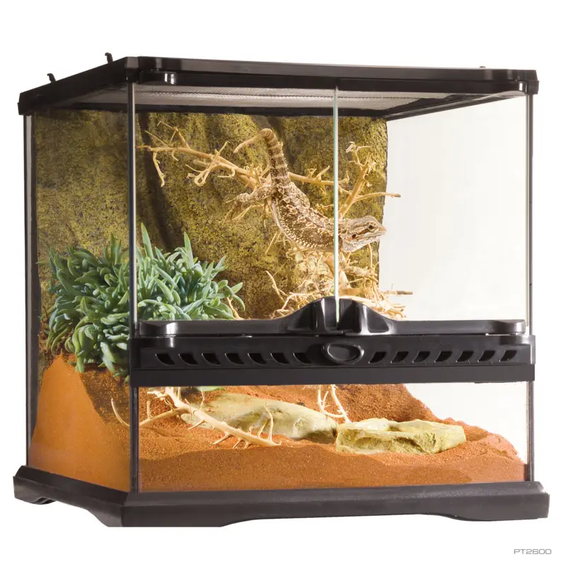Exo Terra – Terrarium en Verre pour Reptile – 30x30x30cm Must-Have