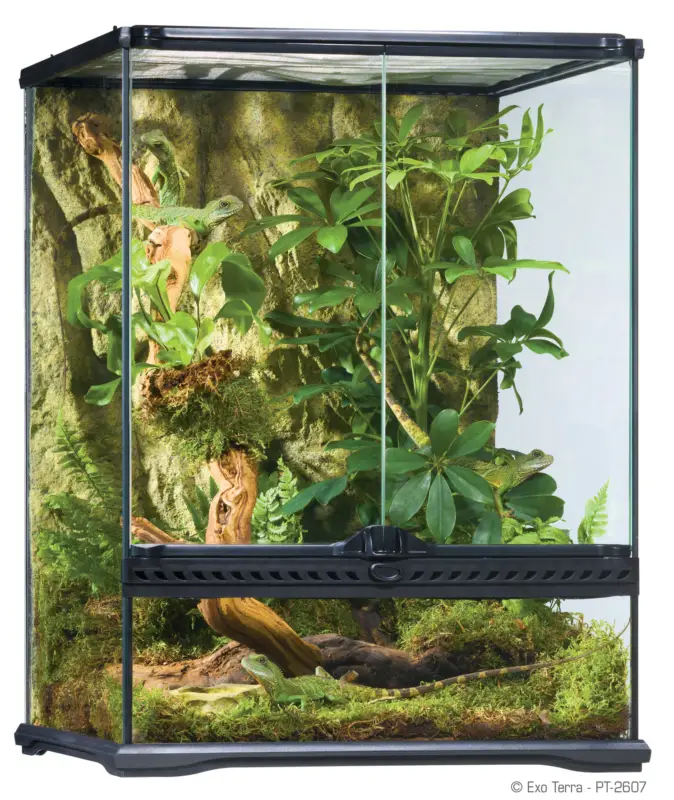 Exo Terra – Terrarium en Verre pour Reptile – 45x45x60cm Achat Immédiat