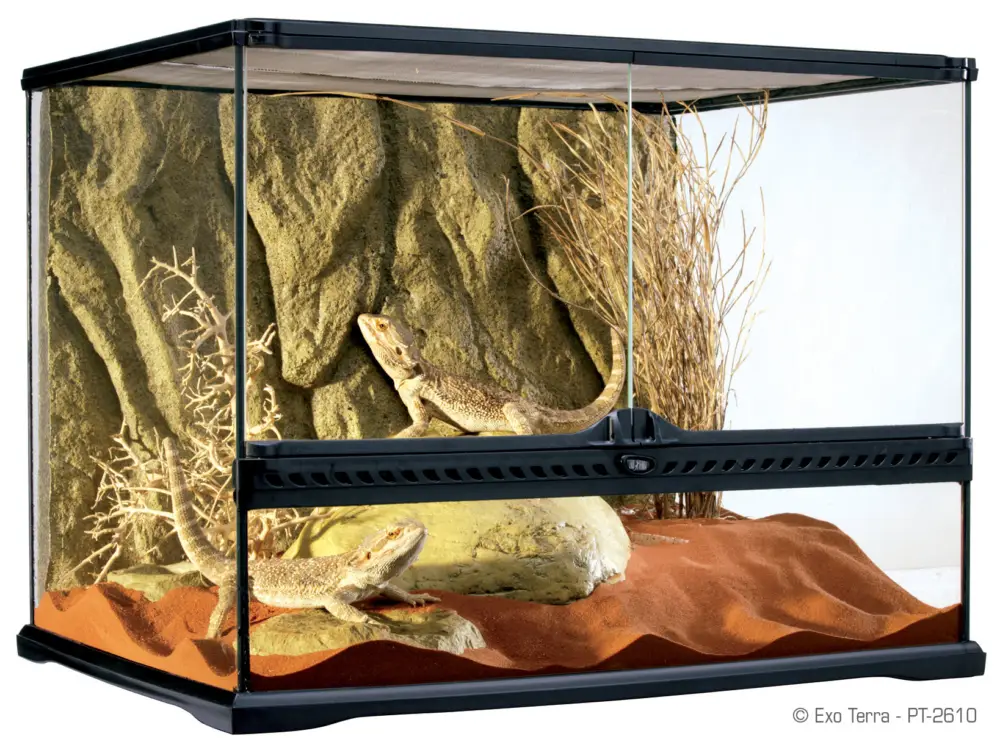 Exo Terra – Terrarium en Verre pour Reptile – 60x45x45cm Paiement Sécurisé