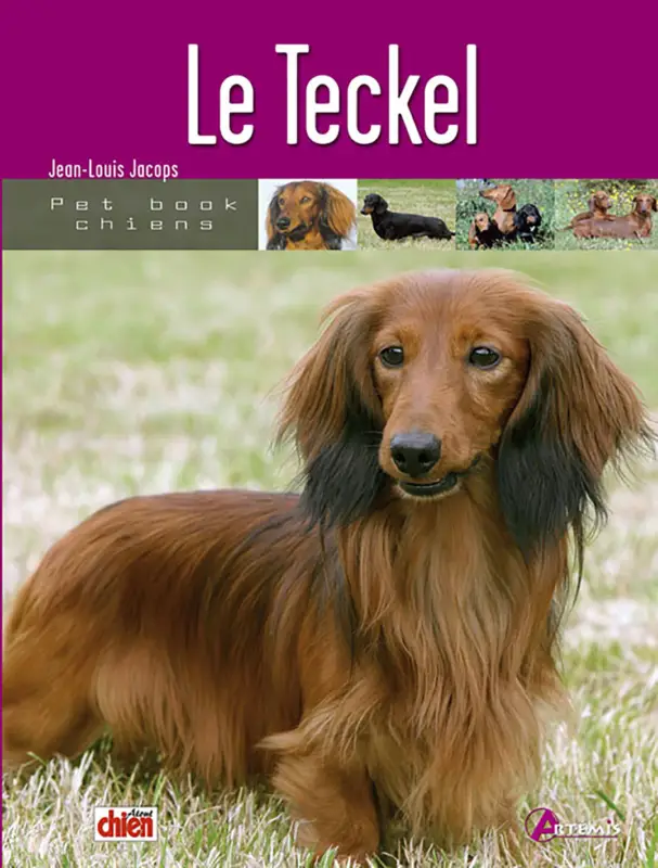 Certifié Art&eacute;mis – Le Teckel