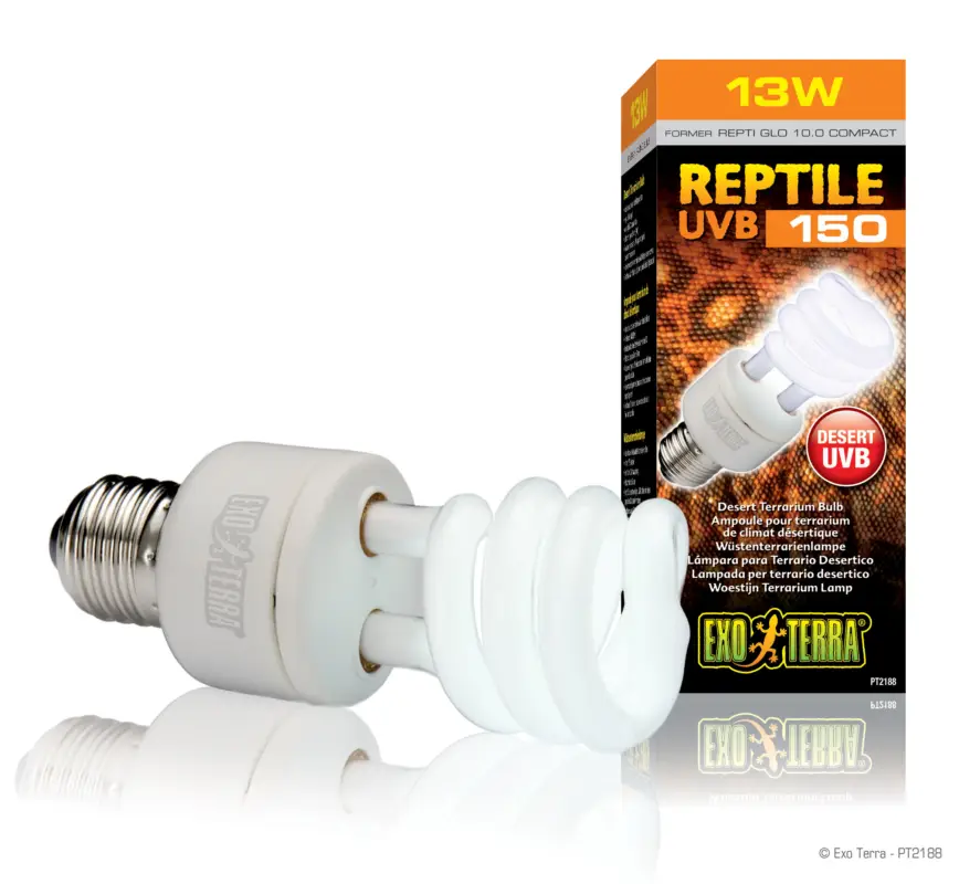 Marque Exo Terra – Ampoule UVB 150 Fluocompact pour Terrarium Reptile – 13W