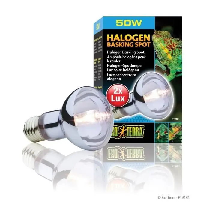Produit De Marque Exo Terra – Ampoule Halog&egrave;ne Basking Spot – 50W