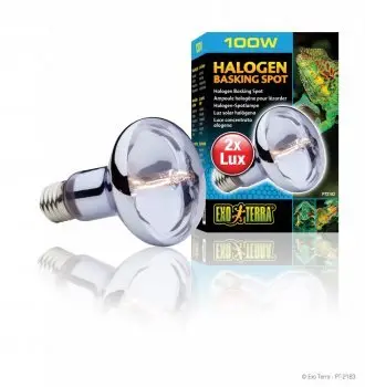 Exo Terra – Ampoule Halog&egrave;ne Basking Spot – 100W Prix Réduit