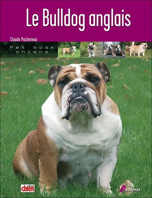 Achetez Aujourd&rsquo;hui Art&eacute;mis – Le Bulldog Anglais