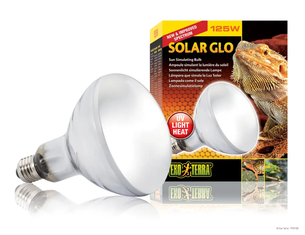 Exo Terra – Ampoule Solar Glo pour Terrarium Reptile – 125W Nouvelle Collection