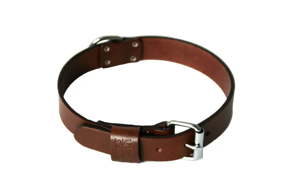 Seulement Aujourd&rsquo;hui Martin Sellier – Collier avec Bord Rond Marron pour Chien