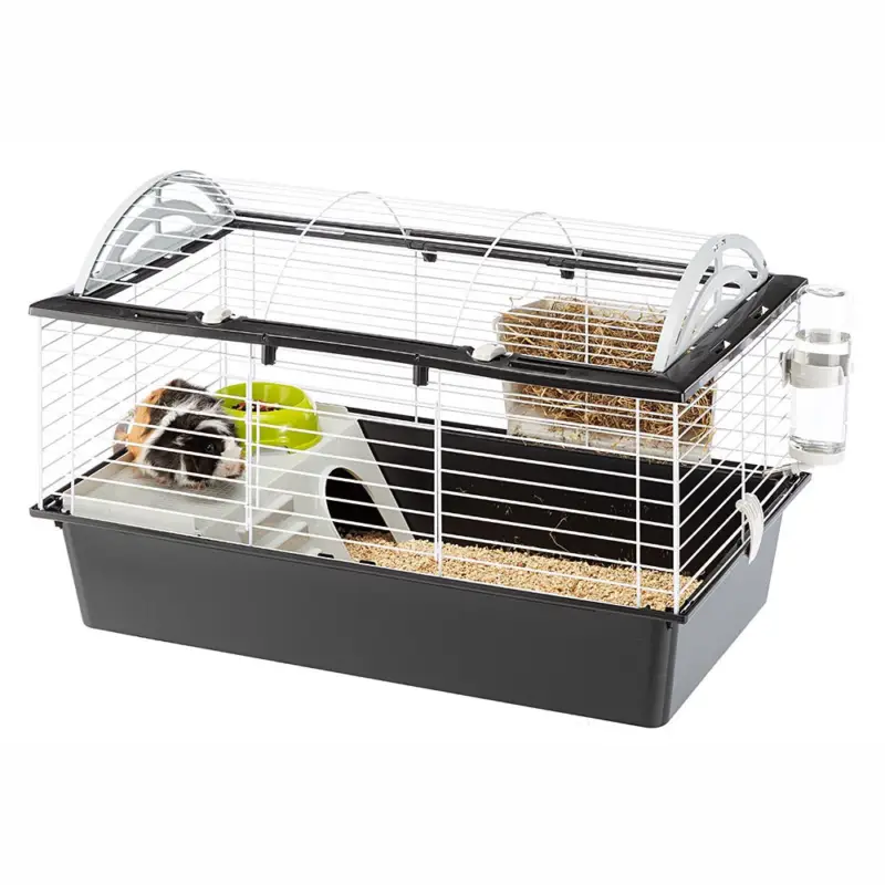 Ferplast – Cage Casita 80 pour Grands Rongeurs – 78cm Offre Spéciale