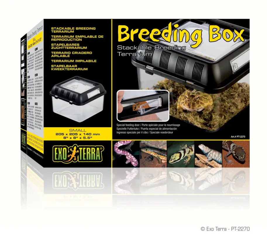 Offre Exclusive Exo Terra – Terrarium Breeding Box S pour Reptiles – 20x20x15cm