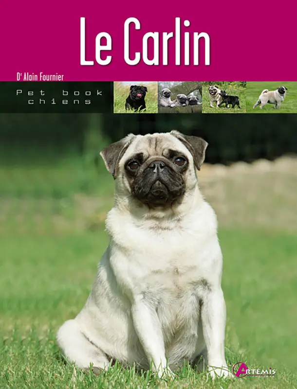 Commande En Gros Art&eacute;mis – Le Carlin