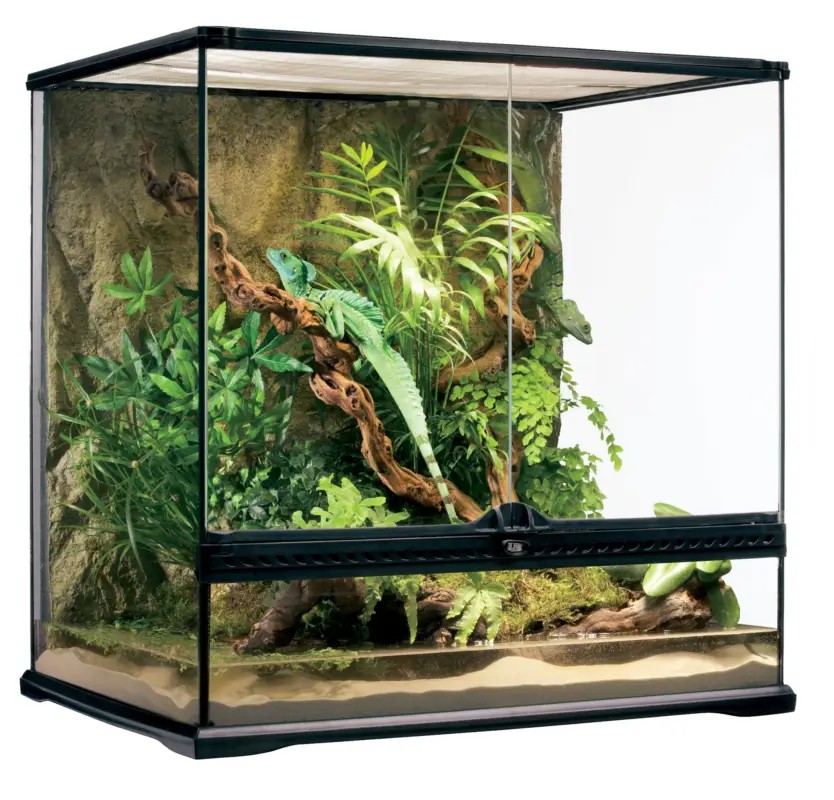 Exo Terra – Terrarium pour Reptiles – 60x45x60cm Certifié