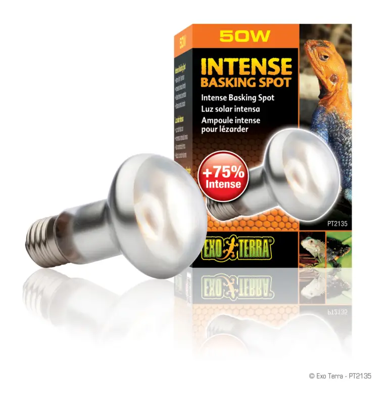 Exo Terra – Lampe Intense Basking Spot – 50W Offre Du Jour