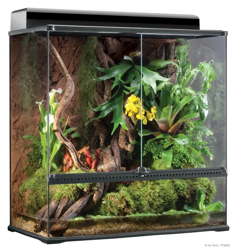 Exo Terra – Terrarium en Verre pour Reptile – 90x45x90cm Authentique