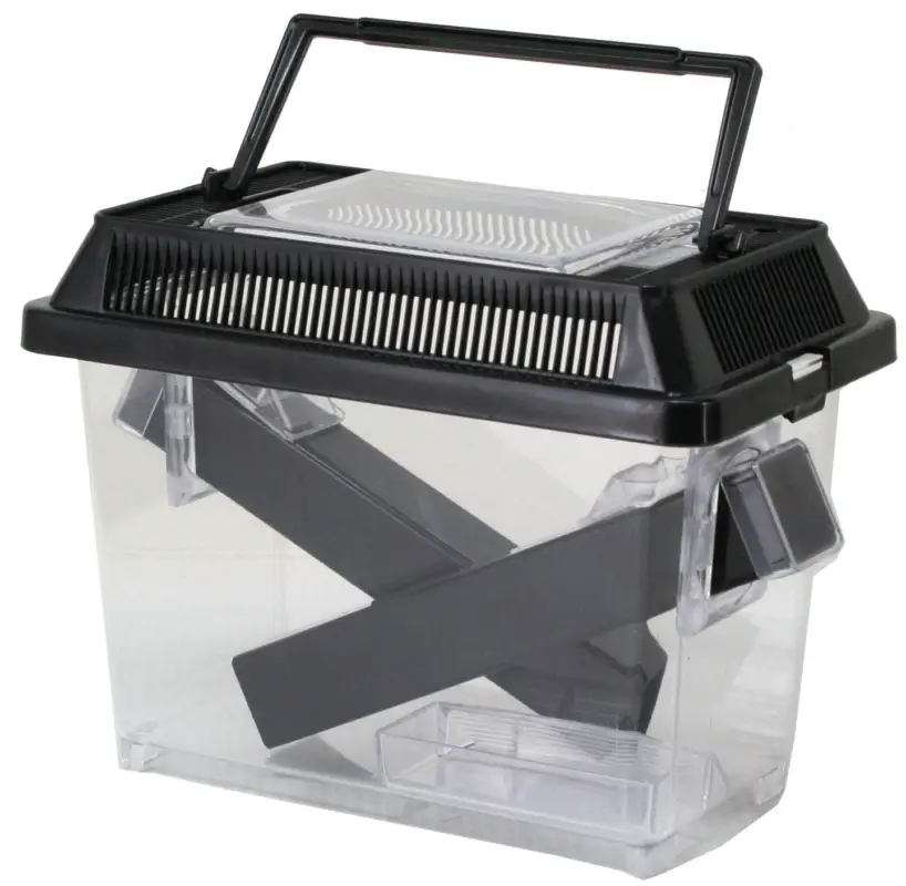 Livraison Express Exo Terra – Bo&icirc;te pour Criquets – S