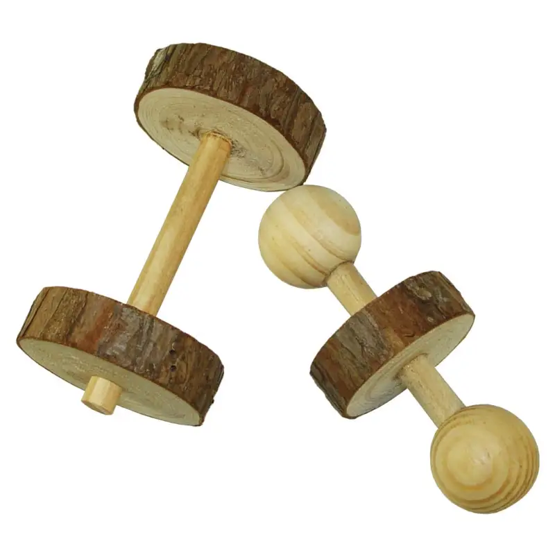 Rongis – Lot de Jeux d'Halt&egrave;res pour Rongeur – x2 Meilleure Vente