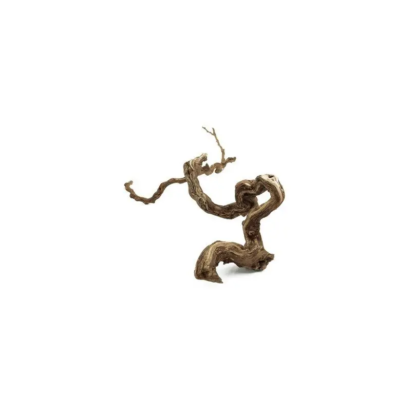 Aquavie – D&eacute;coration Racine pour Aquarium et Terrarium Commander Maintenant