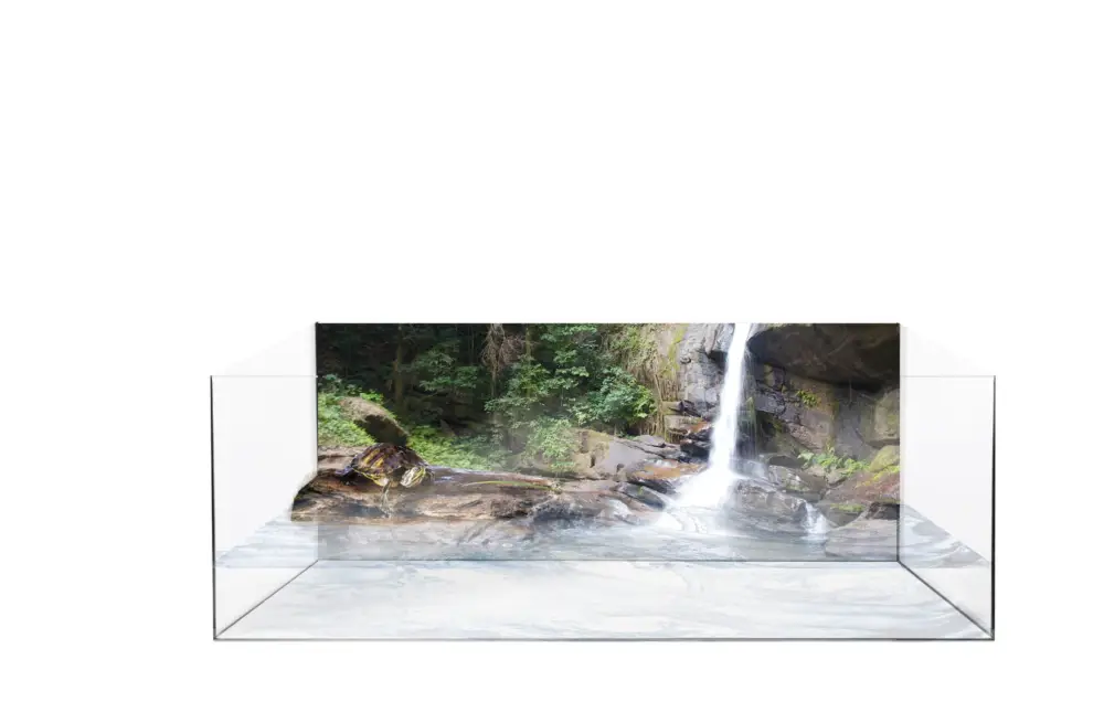 Authentique Exo Terra – Kit Terrarium Aquatique pour Tortue – 60x35x23cm