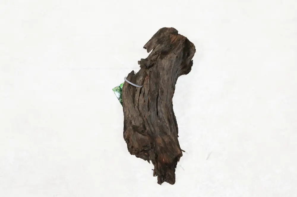 Bon Plan Aquavie – D&eacute;coration Racine Mangrove pour Aquarium – PM