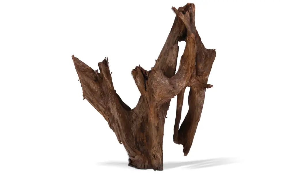 Aquavie – D&eacute;coration Racine Mangrove pour Aquarium – GM Petit Prix