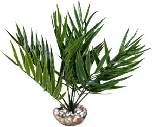 Labeo – Foug&egrave;re – Plante Artificielle Aquarium et Terrarium Soldes