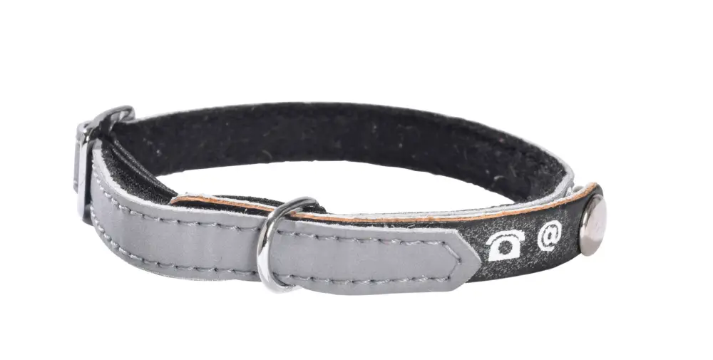 Bobby – Collier PORTE-ADRESSE R&eacute;fl&eacute;chissant pour Chat – Gris Produit De Marque