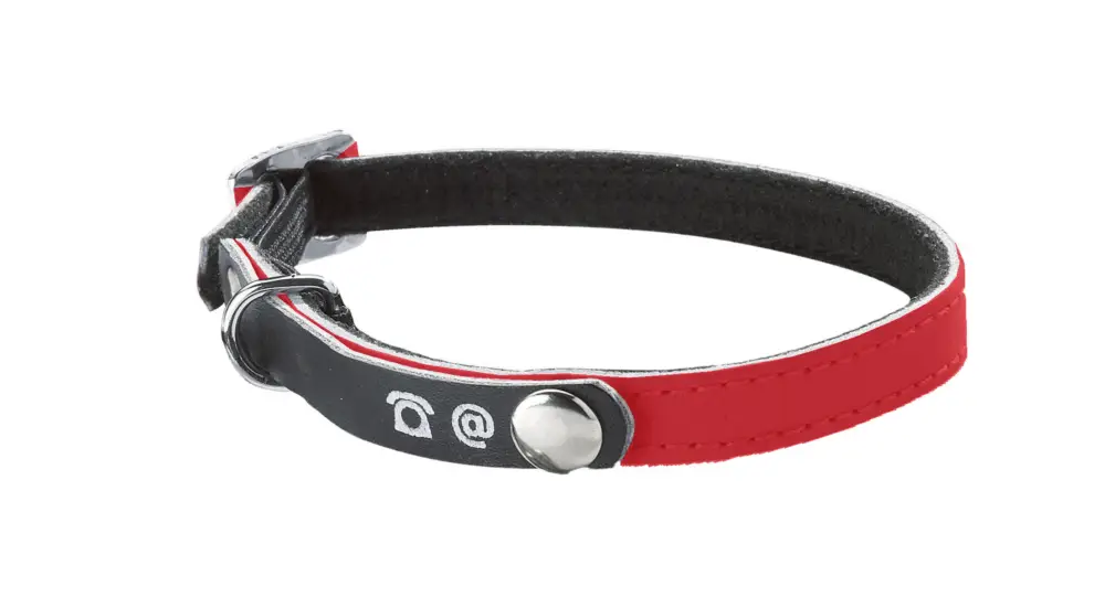 Seulement Aujourd&rsquo;hui Bobby – Collier R&eacute;fl&eacute;chissant Porte Adresse pour Chat