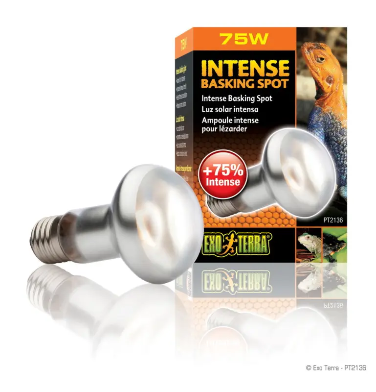 Exo Terra – Ampoule Intense Basking Spot – 75W Promotion