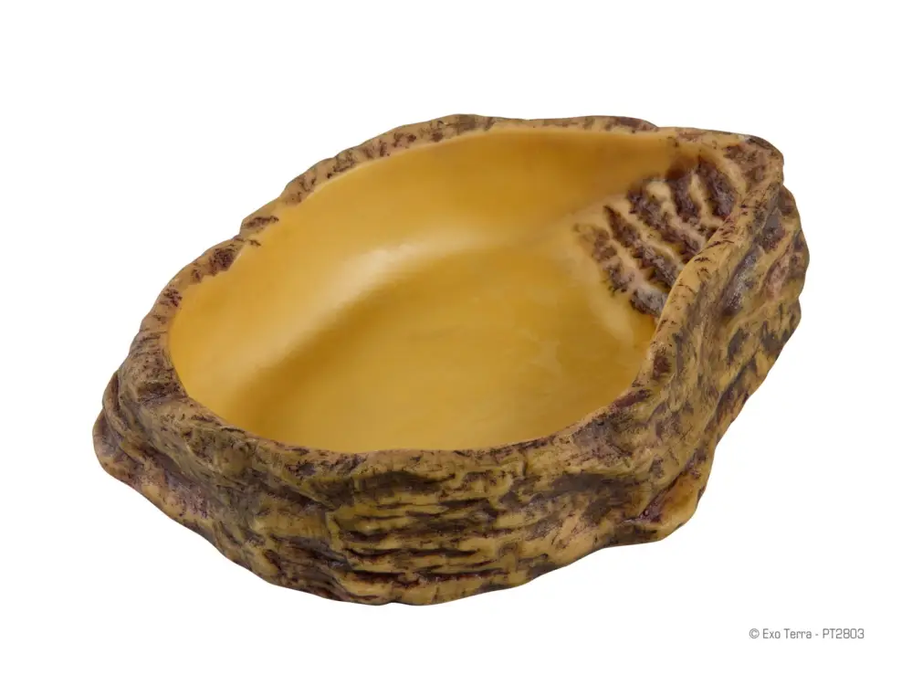 Remise Exo Terra – Bol pour Reptile – GM