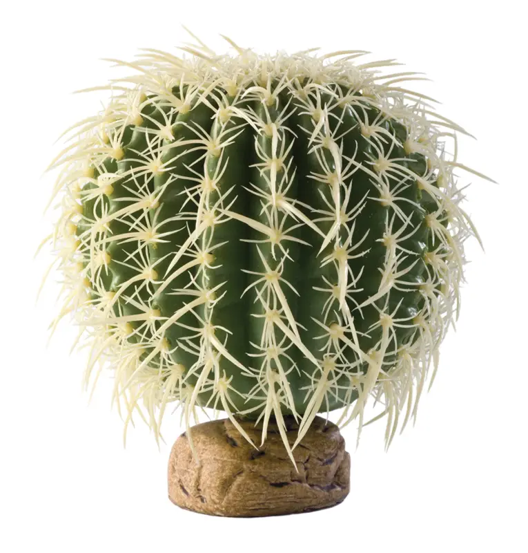 Exo Terra – Cactus Oursin M – 15x15x15,5cm Vente Directe