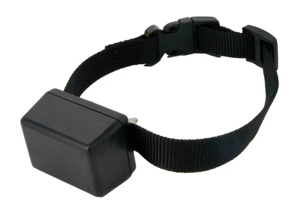 PetSafe – Collier Suppl&eacute;mentaire pour Cl&ocirc;ture Anti-fugues HF-25WE Expédié Aujourd&rsquo;hui