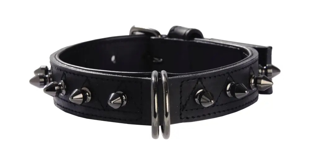 Bobby – Collier Pretty Vert pour Chiens Prix Promo